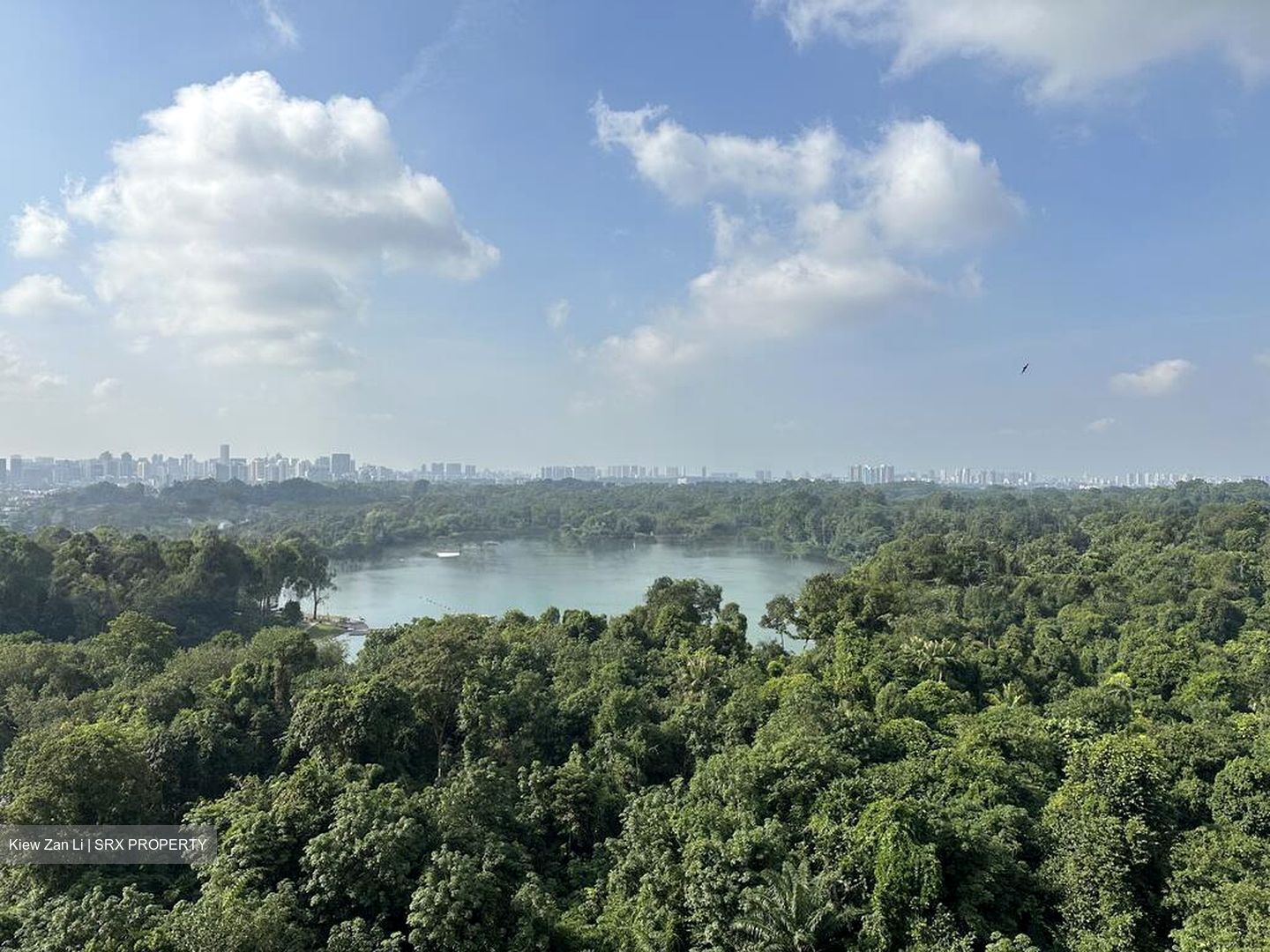 Lakeview Estate (D20), Apartment #519696381